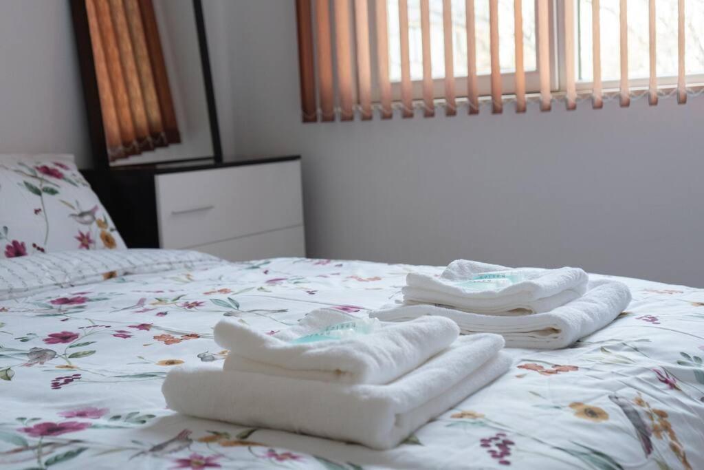 Modern & Bright 1Bd Apartment Near Main Square พลอฟดิฟ ภายนอก รูปภาพ
